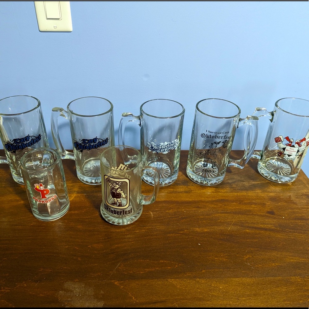 Beer Stein collection Octoberfest small town Ottawa Carp village collection